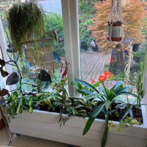 Bespoke Wooden Planter On Wheels